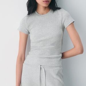 Aritzia | Homestretch Rib Crew T-Shirt In Heather Chrome